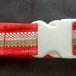 Striped Dog Collar